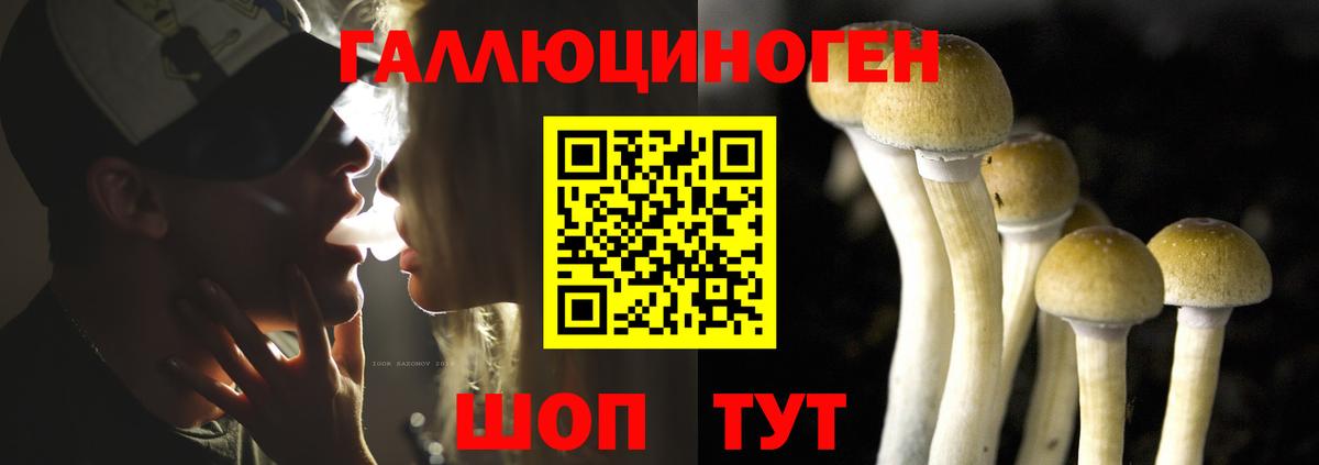 Галлюциногенные грибы мицелий  Вход с VPN  Якутск 